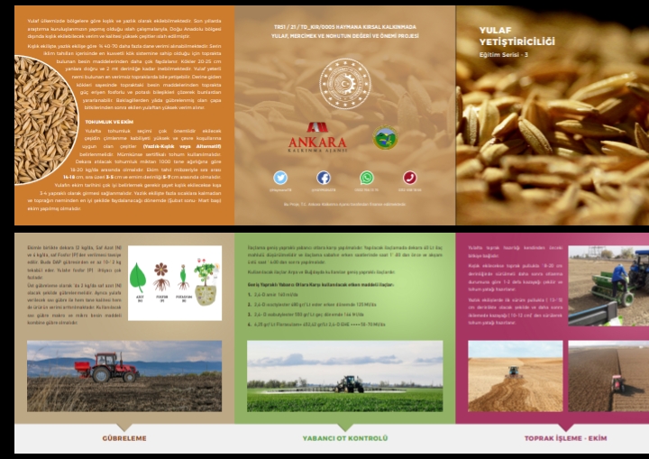  HAYMANA TİCARET BORSASI TARAFINDAN HAZIRLANAN KIRSAL KALKINMADA YULAF,MERCİMEK VE NOHUTUN DEĞERİ VE ÖNEMİ PROJESİ